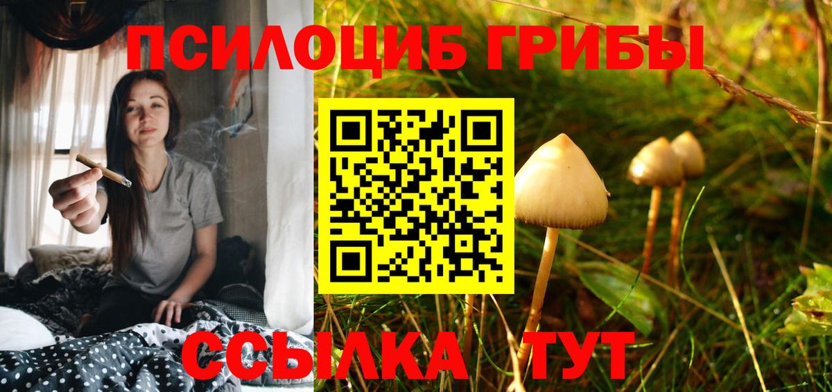 Псилоцибиновые грибы ЛСД Гусиноозёрск