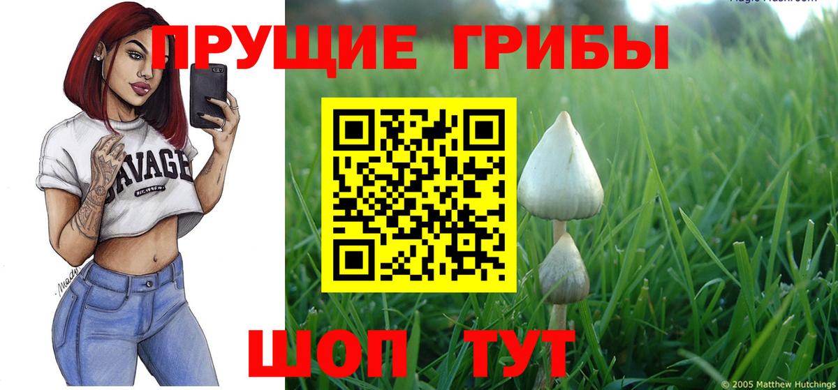 Гусиноозёрск  Псилоцибиновые грибы GOLDEN TEACHER  Вход с VPN 