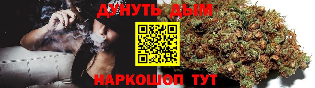 Каннабис White Widow  Вход с VPN  Бошки марихуана семена  Гусиноозёрск  Бошки марихуана сатива 